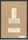Stauroneis pacifica Castr. (de-Toni-Nr.: Genus 6, Species 893) Zeichnungen Sammlung Grunow Nr. 1754 (NHMW-BOT-W0368641)